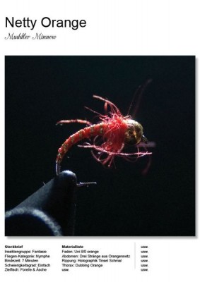 Gestaltungsraster_FFF_Buch_8_8 [800x600].jpg