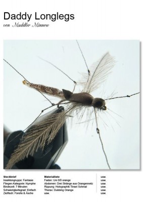 Gestaltungsraster_FFF_Buch_9_8_C [800x600].jpg