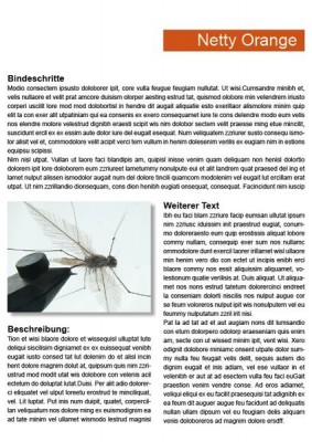 Gestaltungsraster_FFF_Buch_9_8_C2 [800x600].jpg