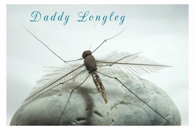 DSC_0432_b [800x600].jpg