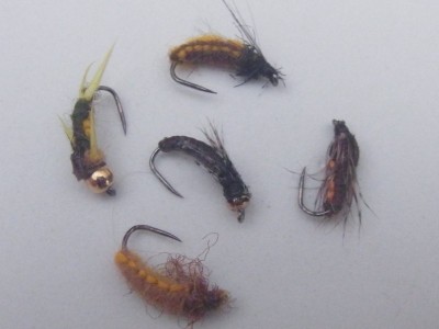 RIMG0089 [800x600].jpg