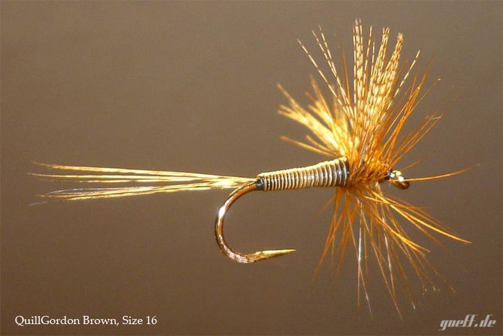 Quill Gordon Brown.jpg