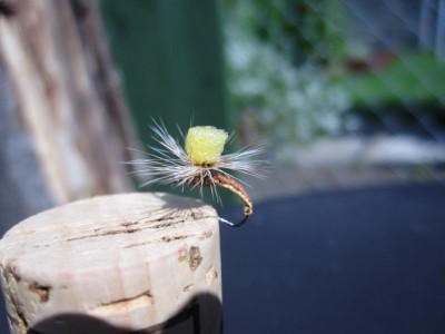 IMG_9595 [800x600].jpg