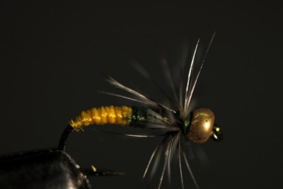 Äschennymphe 2farbig gelb, grün