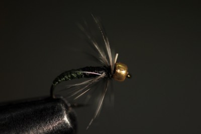 Äschennymphe 2farbig grün, schwarz