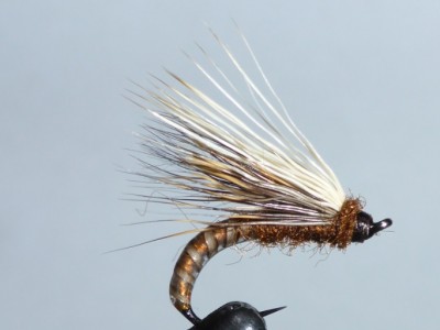 caddis.jpg