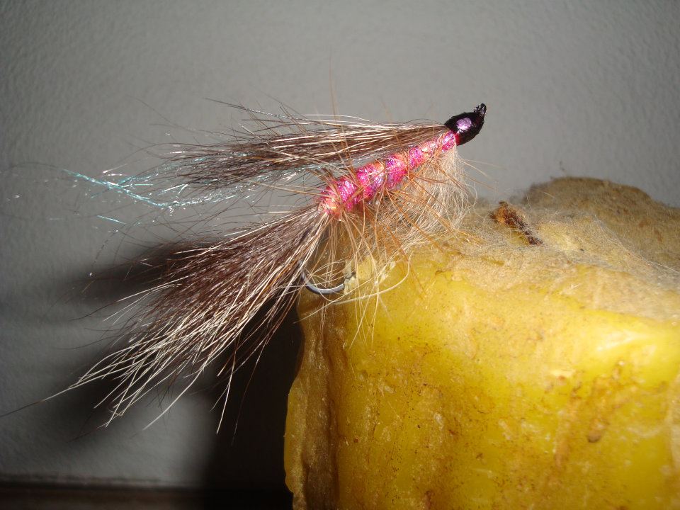 Auch für Stellhead.