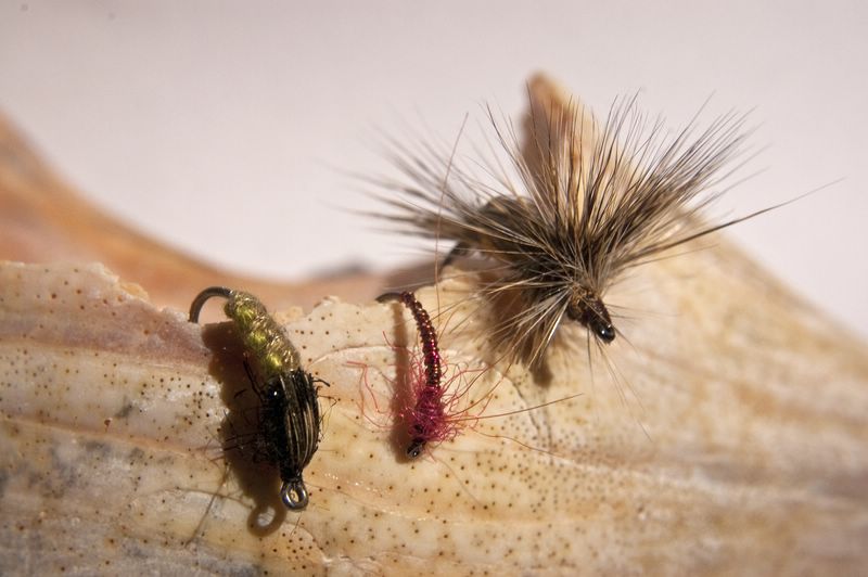 DSC_3509 [800x600].jpg