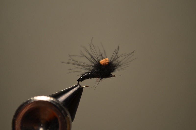 DSC_0427.JPG