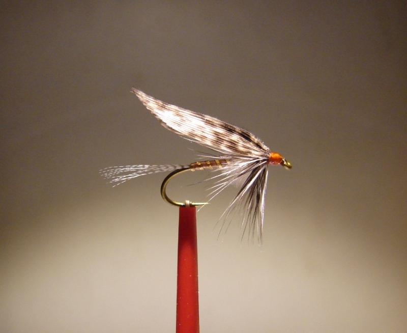 Freestyle wet-fly #10