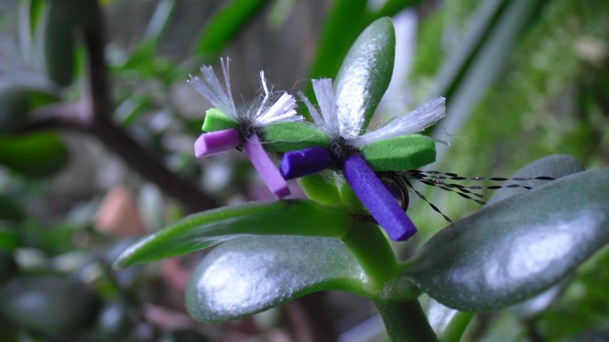 aa17 017.JPG