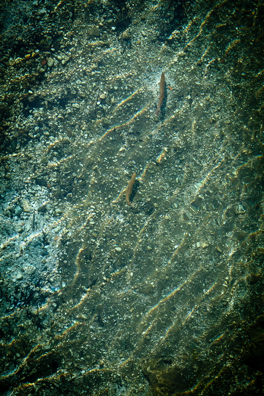 IMG_2545.jpg