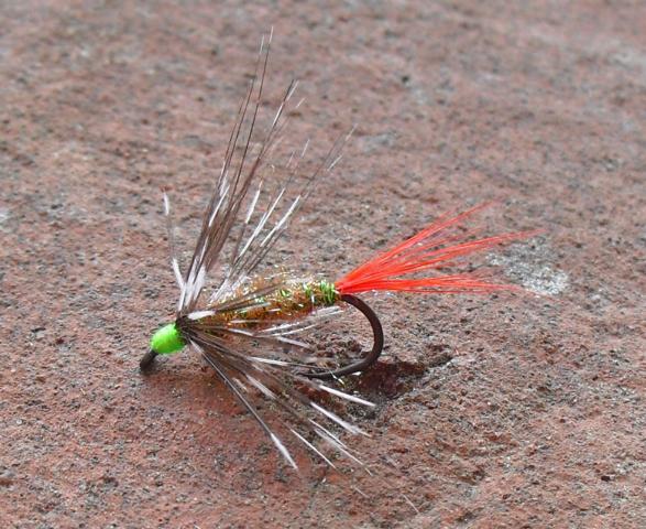 aa40 0061.JPG