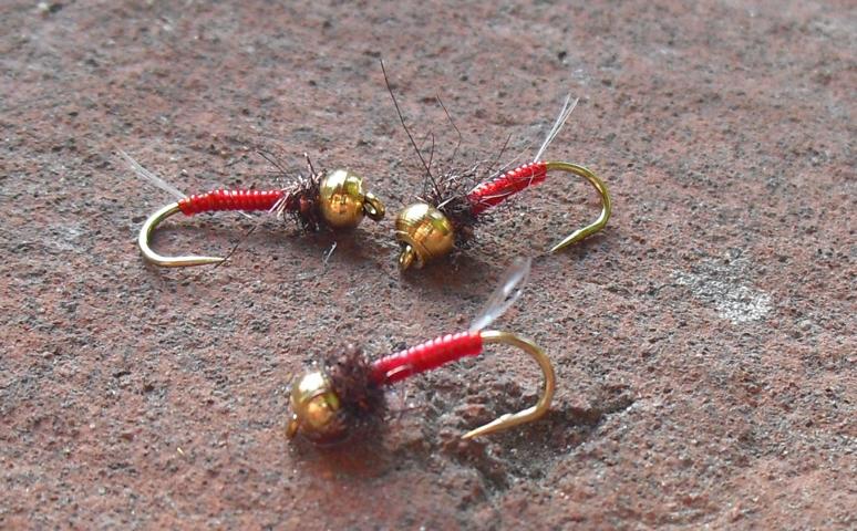 aa42 0011.JPG