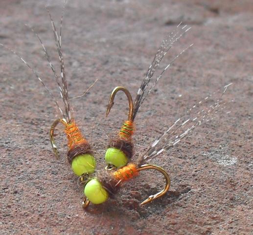 aa43 0101.JPG