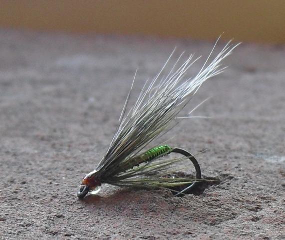 aa44 0051.JPG