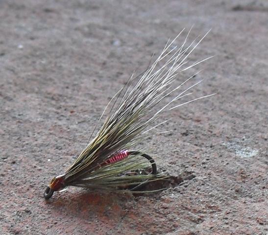 aa44 0071.JPG