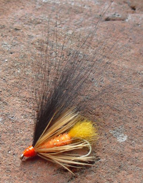 aa50 0091.JPG