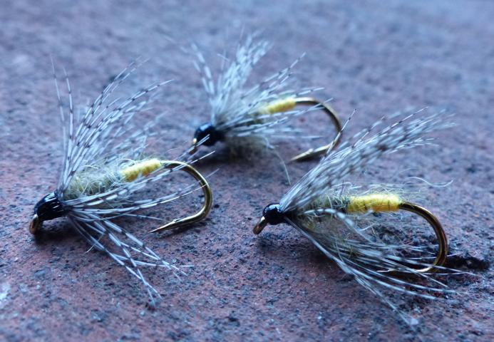 aa53 0331.JPG
