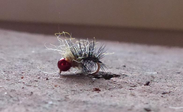 aa57 0051.JPG