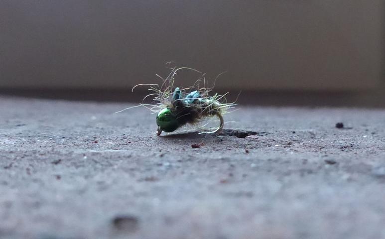 aa58 0062.JPG
