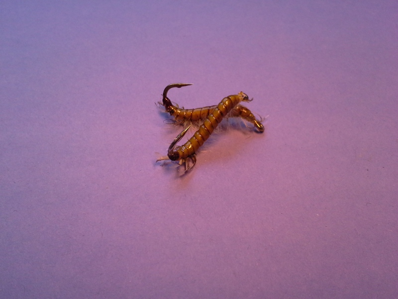 20150206_123150.jpg