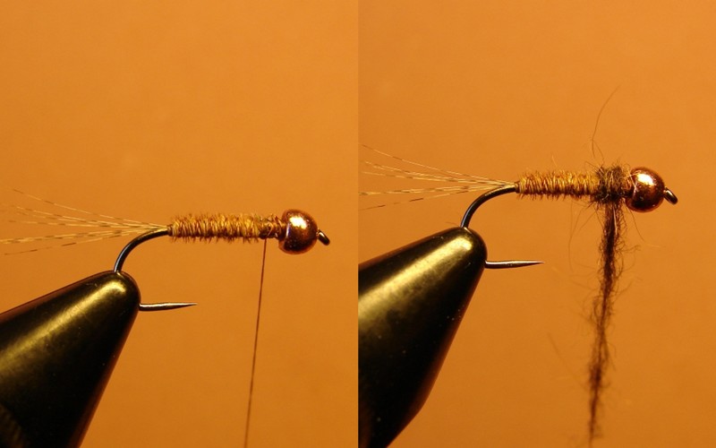 Nymphe einfach (1).jpg