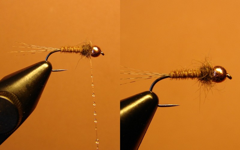 Nymphe einfach (2).jpg