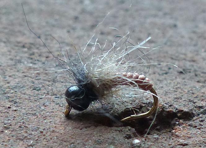 aa63 00912.JPG