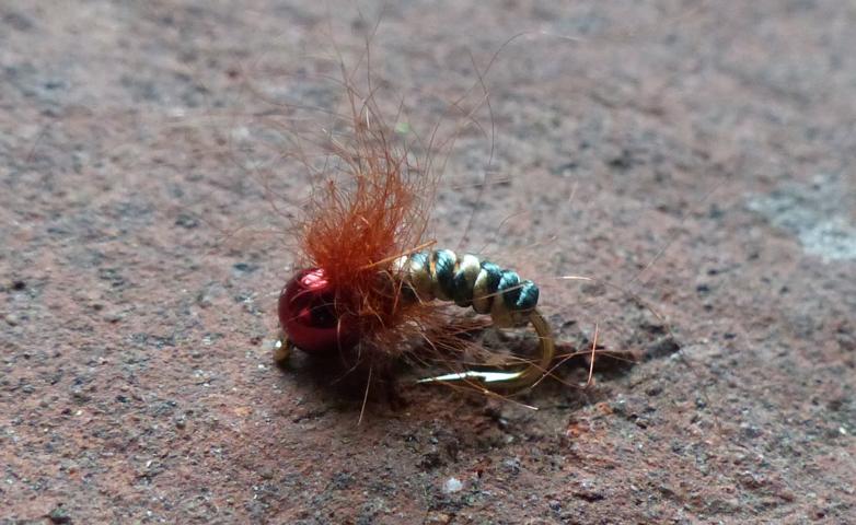 aa63 0051.JPG