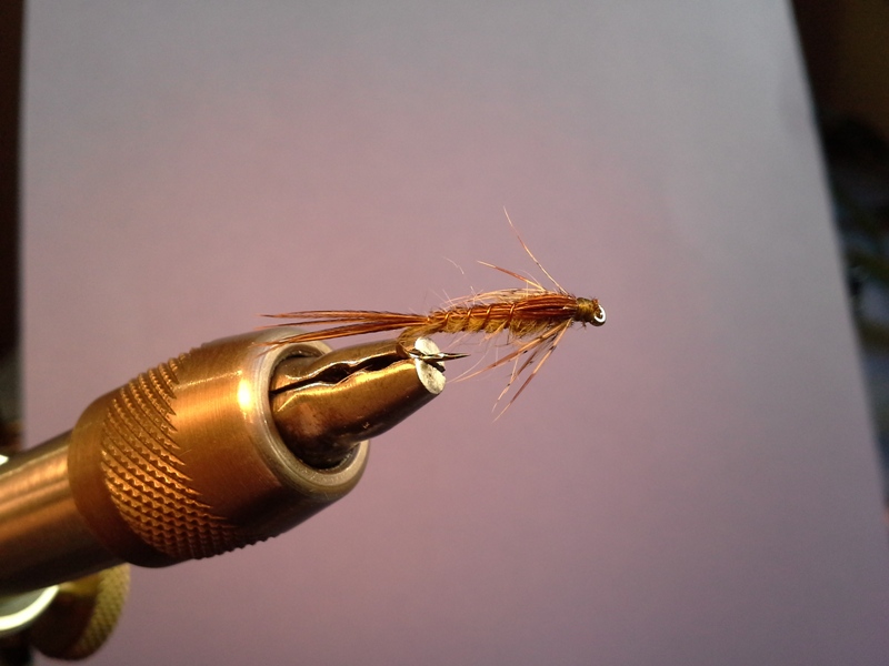 Mc Fly special edition