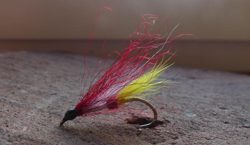 aa67 0031Kiptail-Dancer.JPG