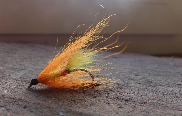 aa67 0061Kiptail-Dancer.JPG