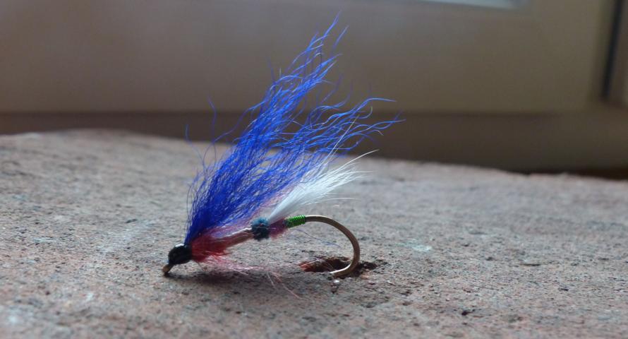 aa68 0022Kiptail-Dancer.JPG