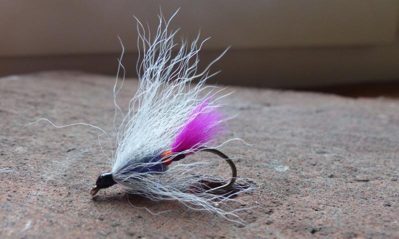 aa68 0111Kiptail-Dancer.JPG