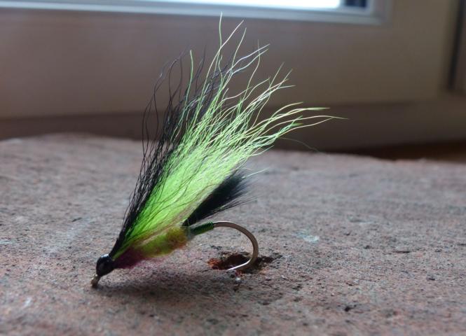 aa68 0141Kiptail-Dancer.JPG