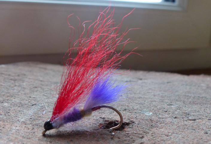 aa68 0171Kiptail-Dancer.JPG