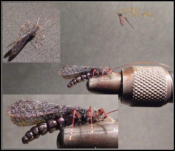 Black_Caddis_FFF.jpg