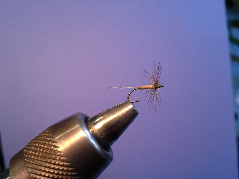 Moose Mane Dry #16