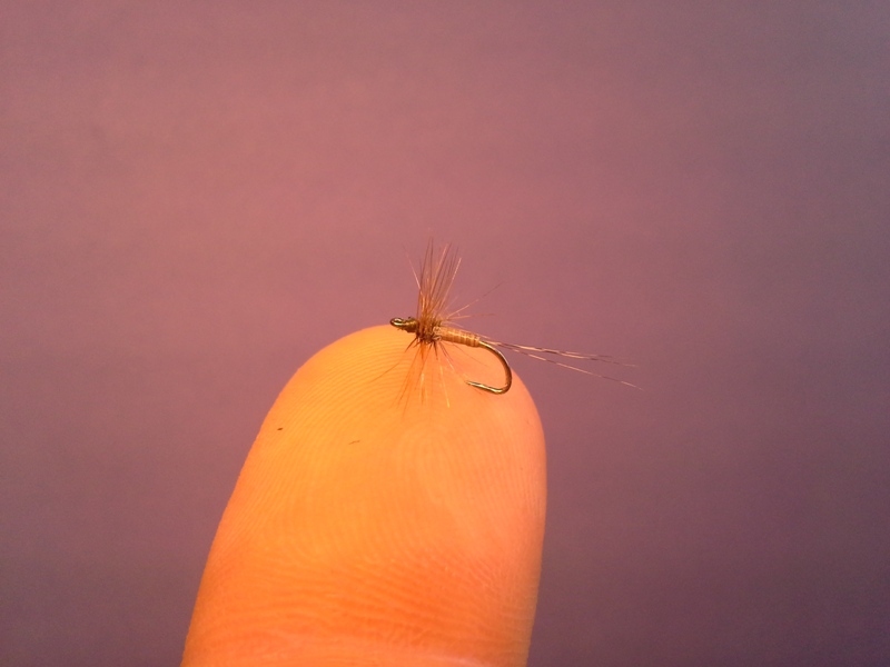 Moose Mane Dry #16