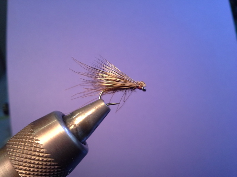 Elk & CDC #14