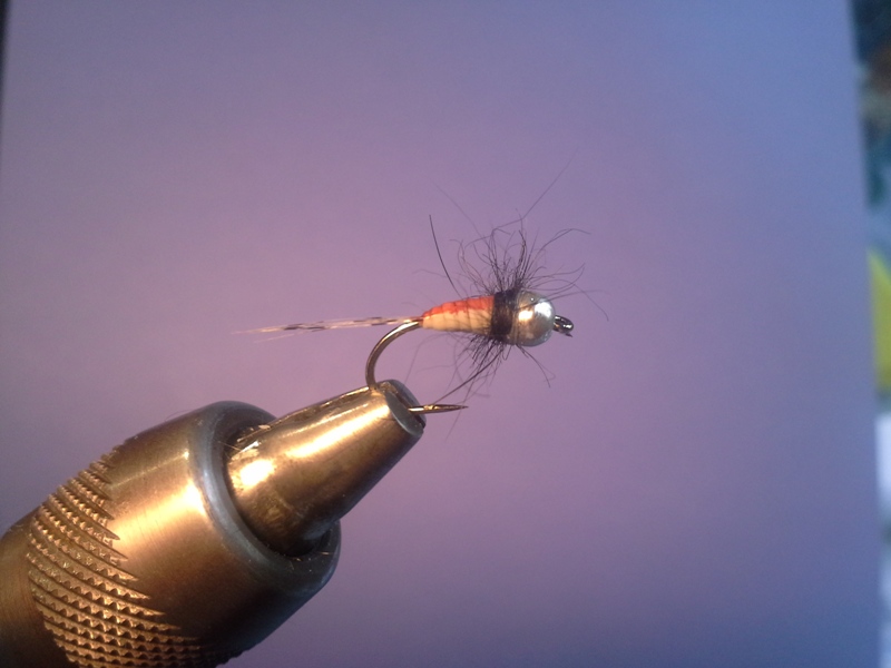 Latex Bead Head #14 Material: Dai-Riki 125; GDL; Tungstenperle; Latexstreifen (Vileda); Hasendubbing, Promarker