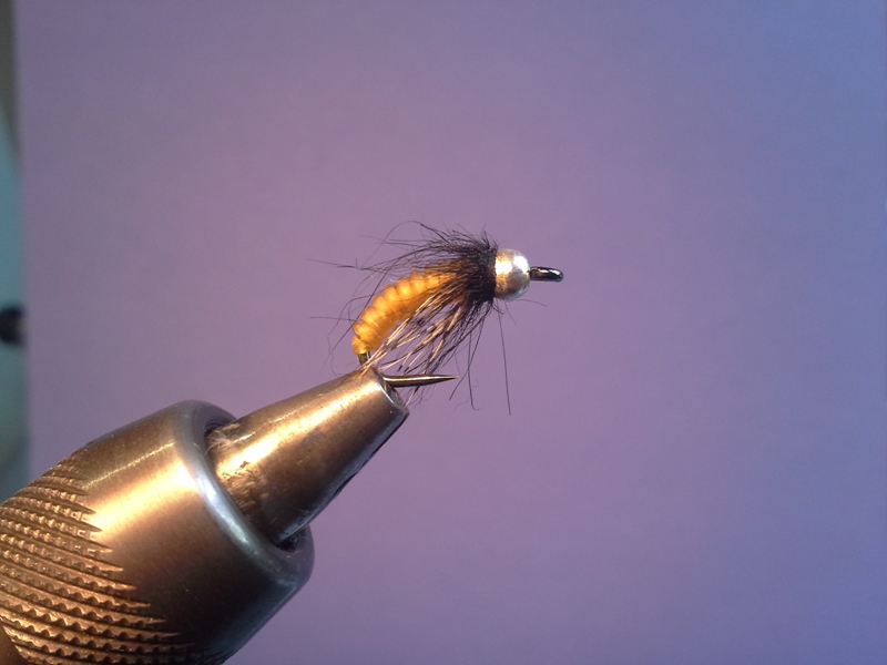 Catgut Caddis #14