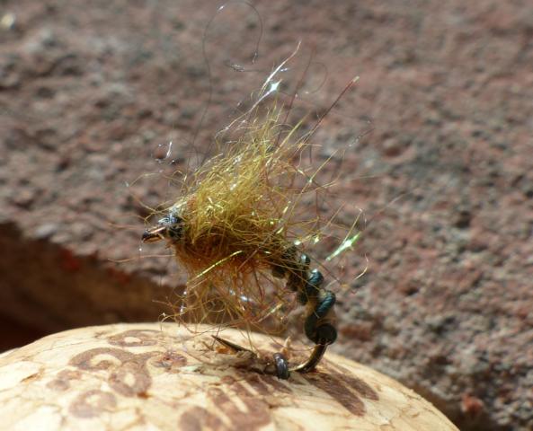 Spectra Emerger 0073.JPG