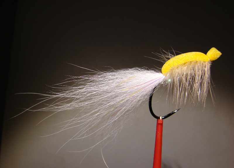 Rapfenfutter 006.jpg