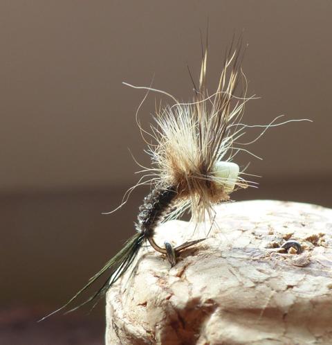 Glass Bead_Emerger.JPG