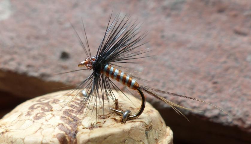 Norddeutsche 0181.JPG