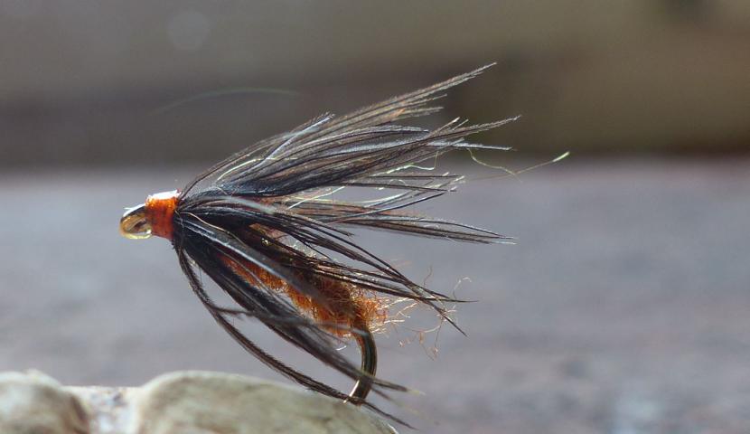 Soft-Hackles 0031.JPG