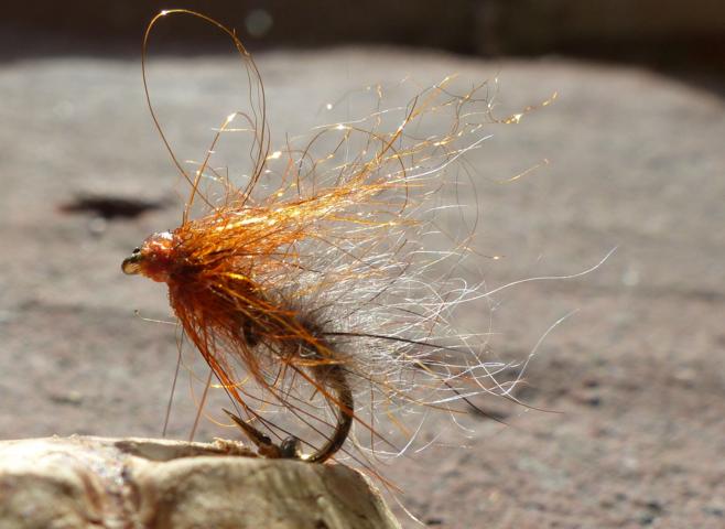 Soft-Hackles 0061.JPG