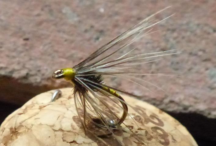 lemon_and_wire_hackle 0041.JPG